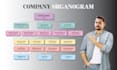 do modern business infographics, organogram, flowchart