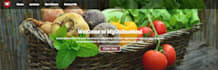develop responsive website with HTML, CSS, javascript