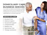 provide professional domiciliary care business services with solution