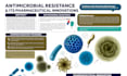 design eye catching research, scientific, conference posters