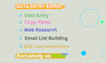 do data entry web research and copy paste job