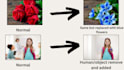 do anything related to image editing in less than 24h