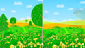 erase or remove objects from your pictures