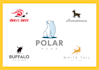 create an awesome animal concept logo designs