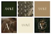 design an elegant feminine clothing logo with branding kit