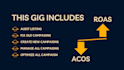 launch and rank, and manage your amazon PPC ads campaign