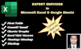 be your ms excel expert for advanced data solutions
