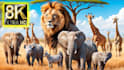 create wild animals videos ,animals documentary videos for youtube