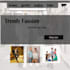 design stunning and responsive website designs and flyers