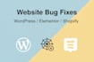 fix wordpress website errors, bugs and problems and wordpress expert maintenance