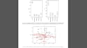 implement r code for classification and regression