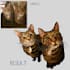 draw your amazing pet in a realistic style