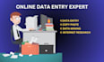 do real estate data entry, web research, data mining and copy paste