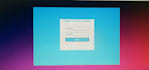 be expert web developer for coding and wordpress