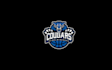 design splendid sophisticated basketball academy logo