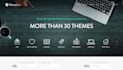 design, redesign, build, duplicate, copy clone, revamp wordpress website