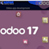 professional odoo module customization services