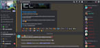 do full discord server setup with all channels and bots