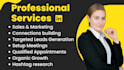 be your linkedin b2b sales lead manager and appointment setter