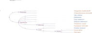 do phylogenetic analysis and tree construction