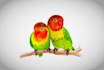 illustrate realistic animals and pets
