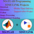 do your matlab, simulink programming, image, signal process