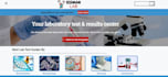 design, redesign wordpress website design, ecommerce store