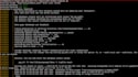 deploy python, nodejs apps, API servers using docker, nginx