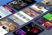 build a professional custom website