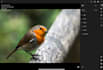 edit your photos to your liking