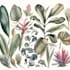 draw botanical illustrations of flowers