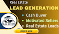 provide motivated seller and buyer real estate leads with skip tracing