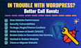 fix wordpress issues, theme issues or plugin issues