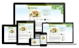 design  your professional and unique HTML, CSS, js landing page and website