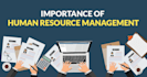 do excellent human resources research and summary