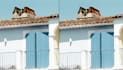 denoise, sharpen, enhance your photos with ai tools