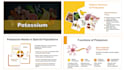 design professional powerpoint presentations on medical and health topics