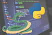 provide professional web scraping in python projects