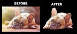 professionally remove background from photos or product images