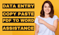 do fast and accurate data entry, typing and web research
