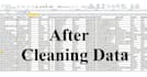 do excel data entry, cleaning, and formatting