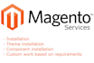 fix, customize, and optimize your magento 2 hyva theme store for more sales