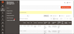 bug fix, develop, customize, and maintain magento 2 store