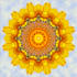 create a personalized mandala that brings you joy