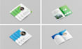 design professional bi fold brochure for you