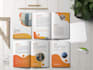 design professional bi fold brochure and tri fold brochure