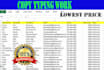 do excel data entry, data collection, web scraping, data mining