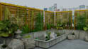 design front yard, backyard, home garden as a landscape architect