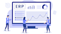 be your professional erp solutions setup and implementation expert