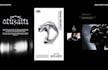 design premium brand identity